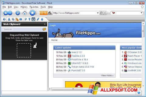 Captura de pantalla Flock para Windows XP