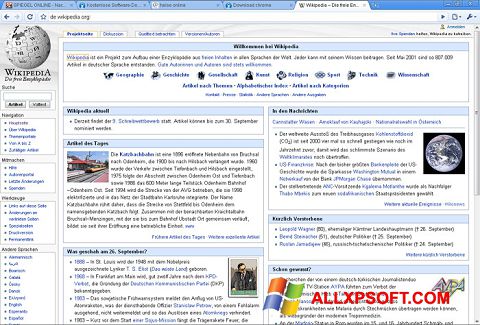 Captura de pantalla SRWare Iron para Windows XP