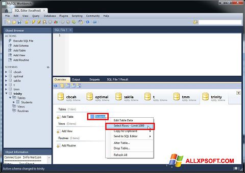 Captura de pantalla MySQL Workbench para Windows XP