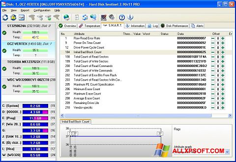 Captura de pantalla Hard Disk Sentinel para Windows XP