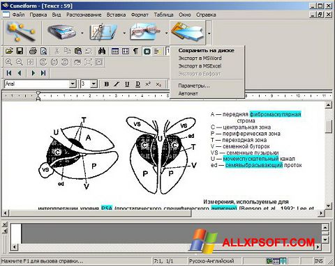 Captura de pantalla CuneiForm para Windows XP