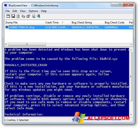 Captura de pantalla BlueScreenView para Windows XP