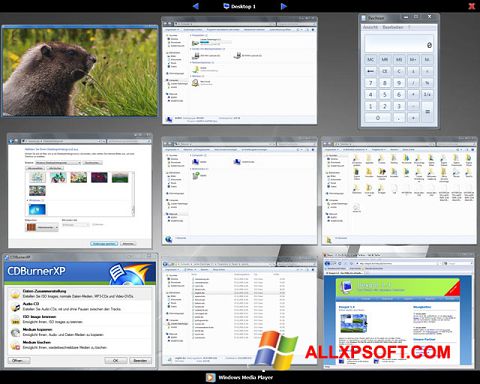 Captura de pantalla Dexpot para Windows XP
