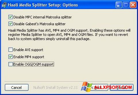 Captura de pantalla Haali Media Splitter para Windows XP