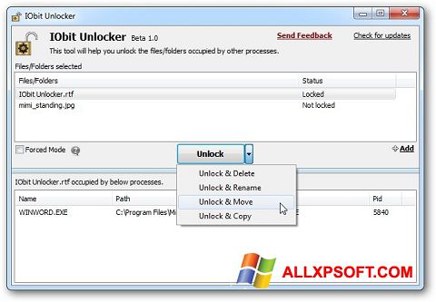 Captura de pantalla IObit Unlocker para Windows XP