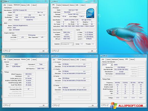 Captura de pantalla CPU-Z para Windows XP