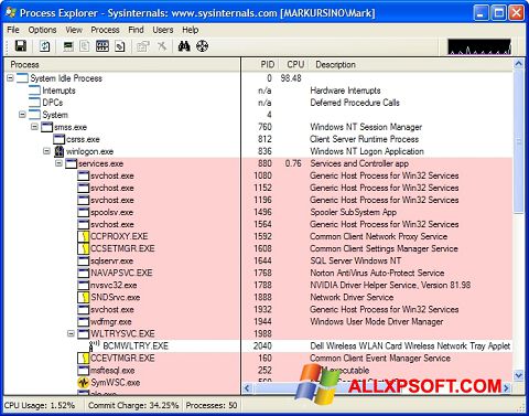 Captura de pantalla Process Explorer para Windows XP