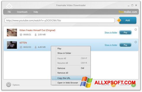 Captura de pantalla Freemake Video Downloader para Windows XP