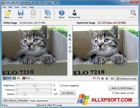Captura de pantalla RIOT para Windows XP