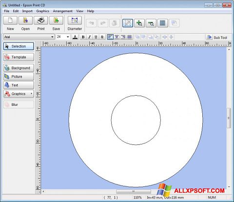 Captura de pantalla EPSON Print CD para Windows XP
